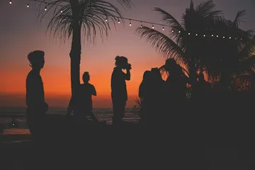 Palmbomen bij zonsondergang